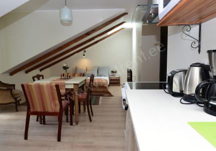 Zweizimmerwohnung 14 - Roosi